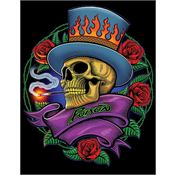 Tin Signs 2491 Poison Rose Skull